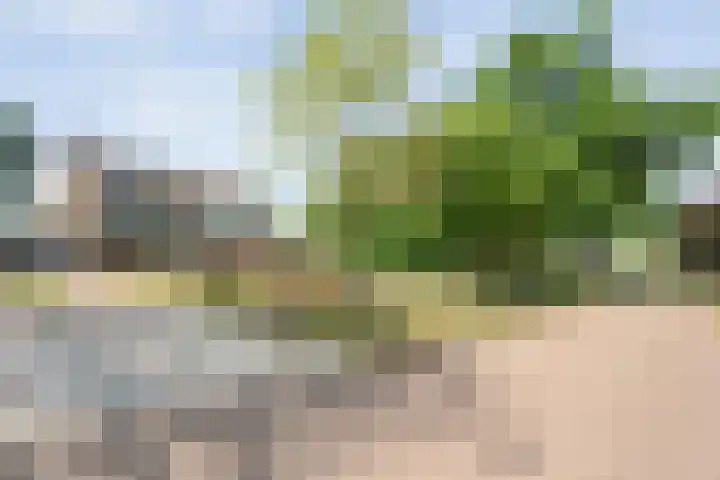 J.L. Nijsinghweg 4 de Wijk thumbnail 4