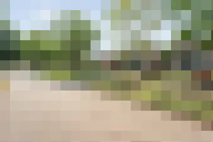 J.L. Nijsinghweg 4 de Wijk thumbnail 5