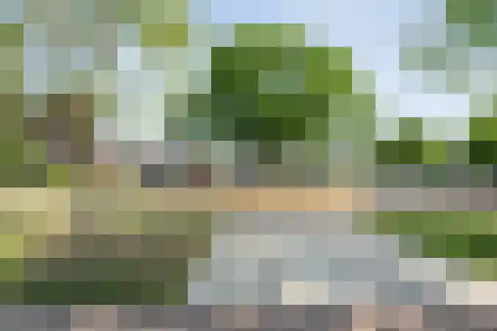 J.L. Nijsinghweg 4 de Wijk thumbnail 6