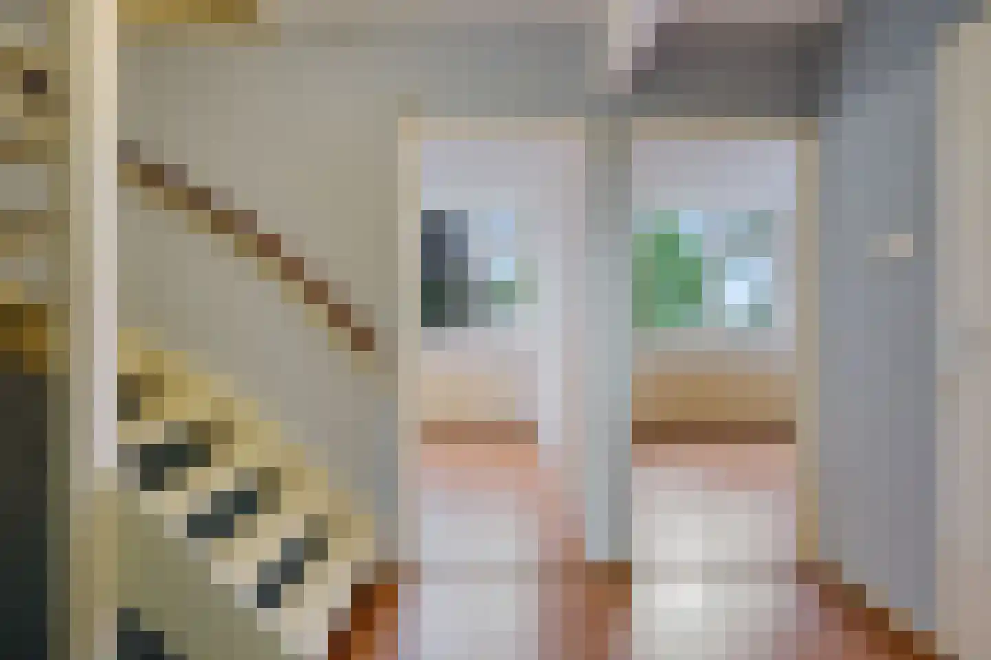 J.L. Nijsinghweg 40 de Wijk thumbnail 13