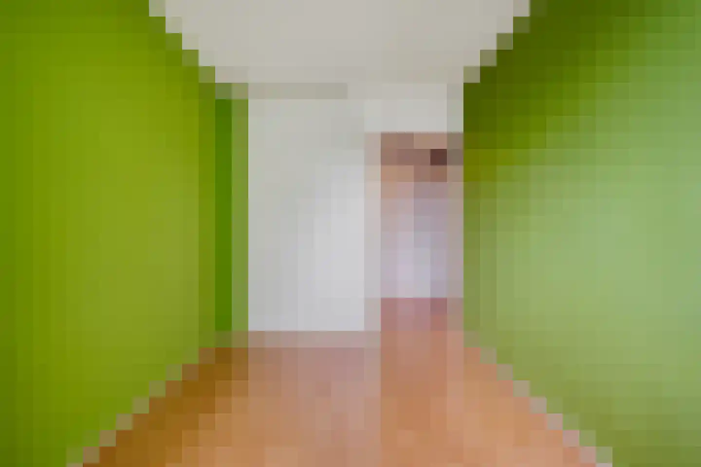 J.L. Nijsinghweg 40 de Wijk thumbnail 14