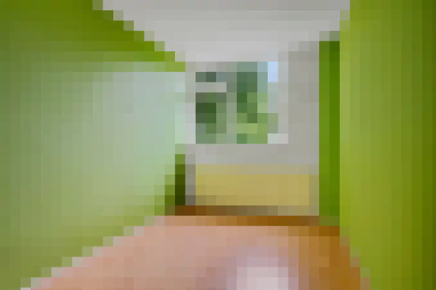 J.L. Nijsinghweg 40 de Wijk thumbnail 15