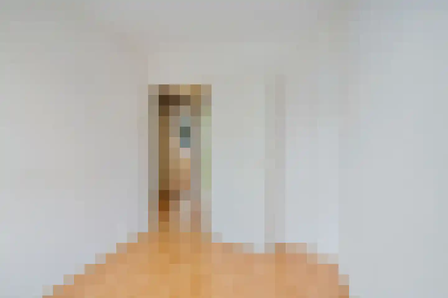 J.L. Nijsinghweg 40 de Wijk thumbnail 18