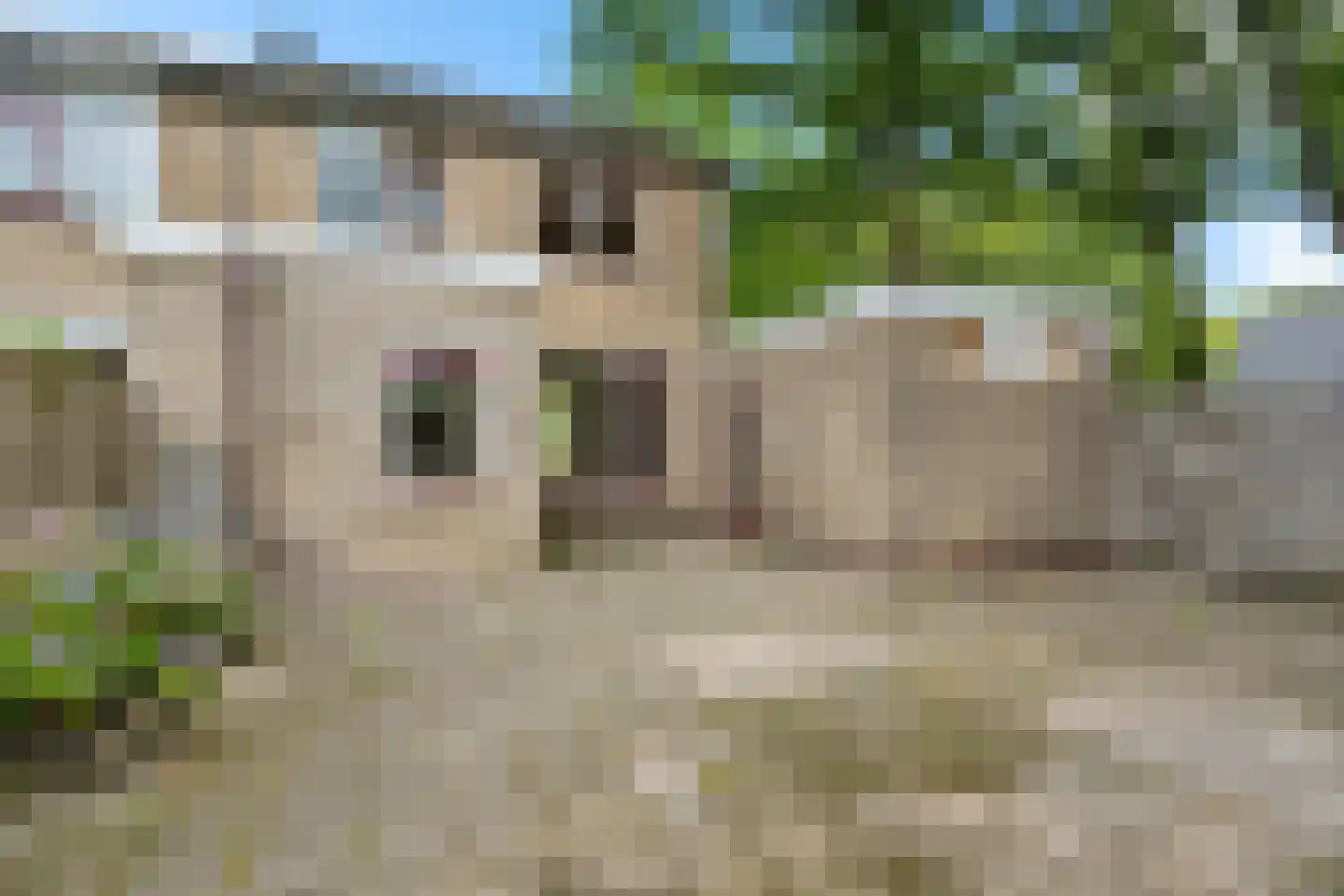 J.L. Nijsinghweg 40 de Wijk thumbnail 30