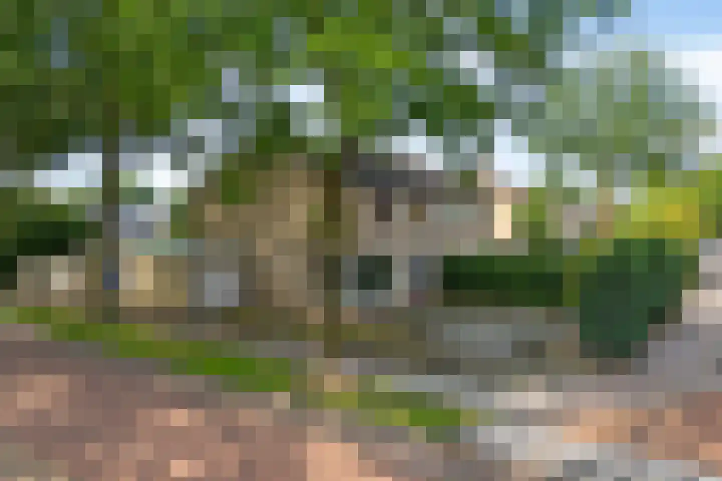 J.L. Nijsinghweg 40 de Wijk thumbnail 36