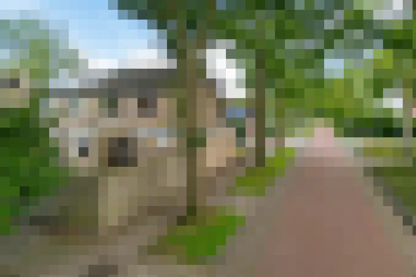 J.L. Nijsinghweg 40 de Wijk thumbnail 38
