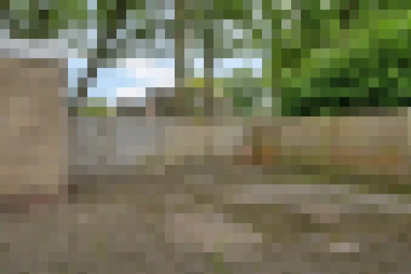 J.L. Nijsinghweg 40 de Wijk thumbnail 4