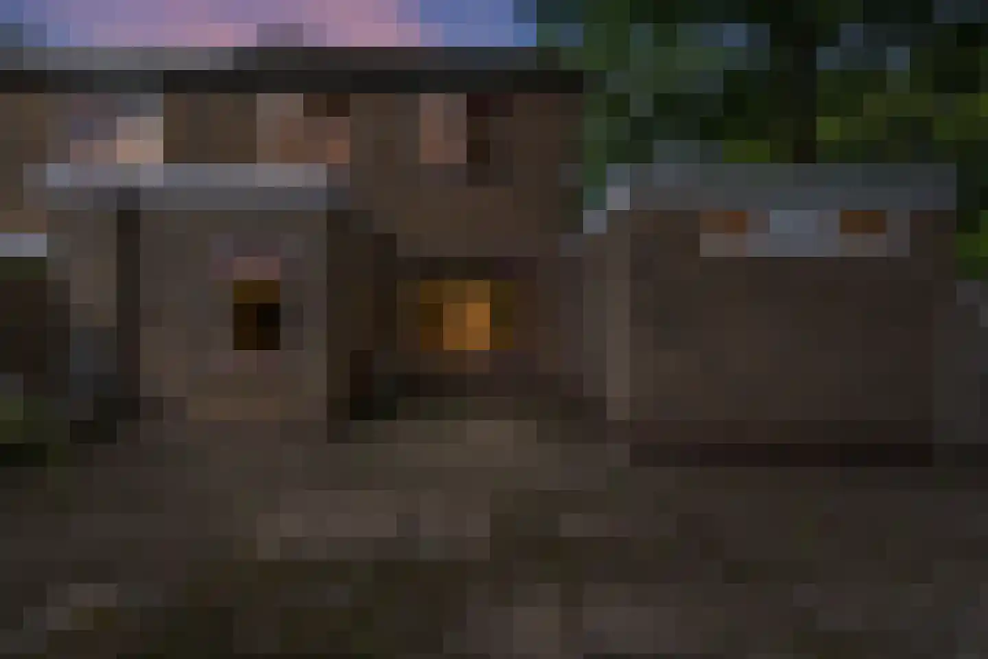J.L. Nijsinghweg 40 de Wijk thumbnail 41