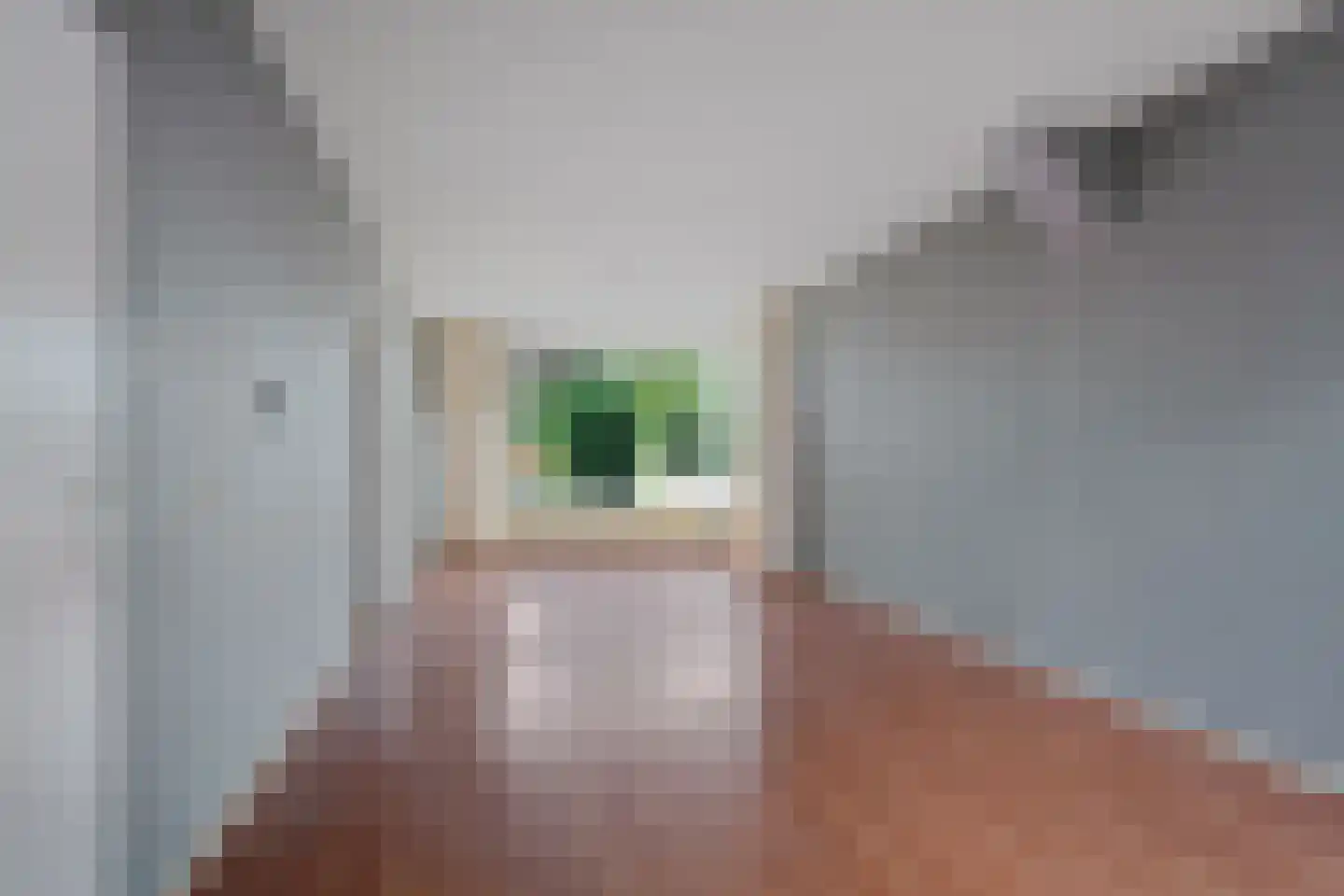 J.L. Nijsinghweg 40 de Wijk thumbnail 6