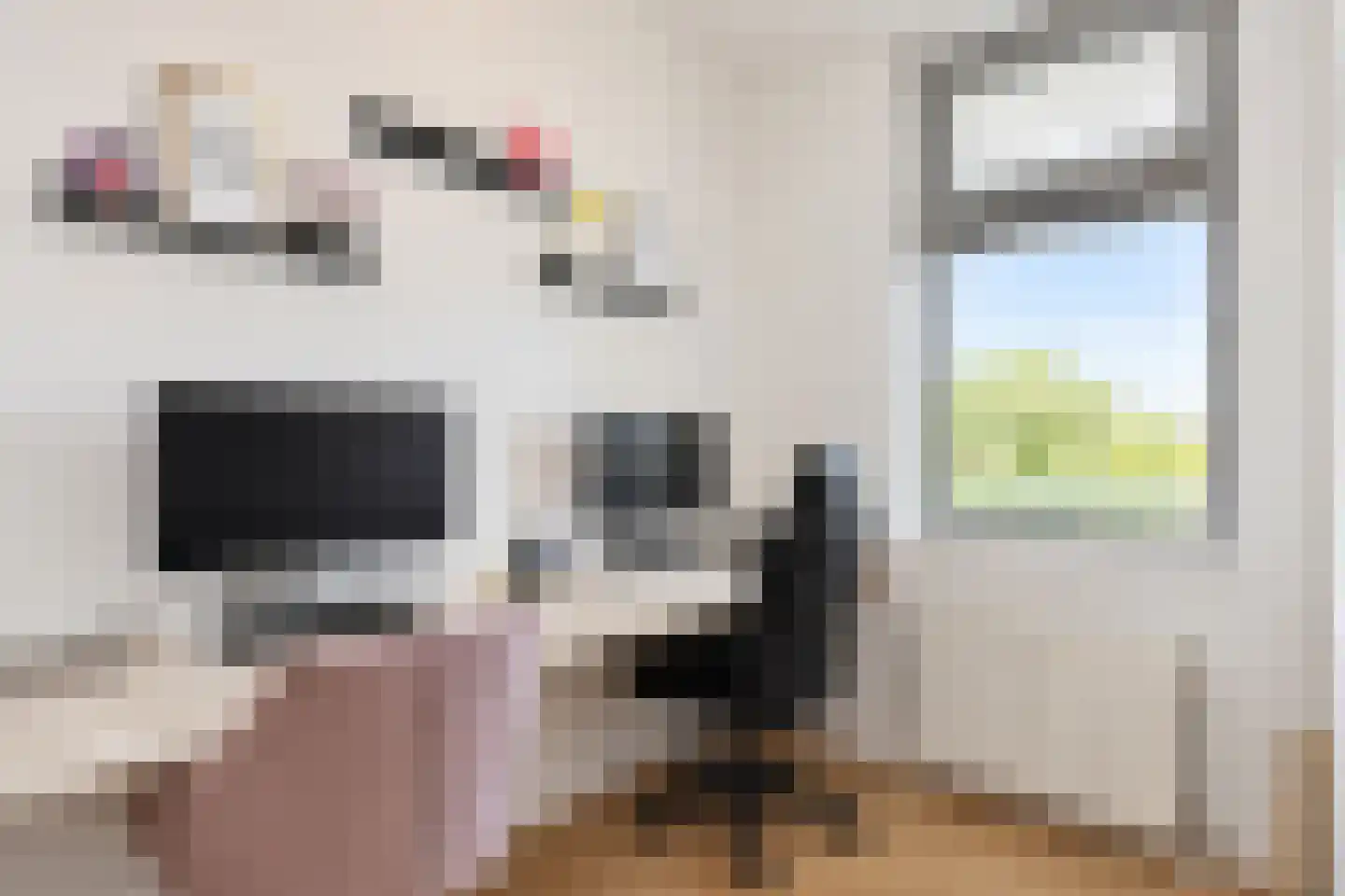 J.L. van Rijweg 102 Zoetermeer thumbnail 27