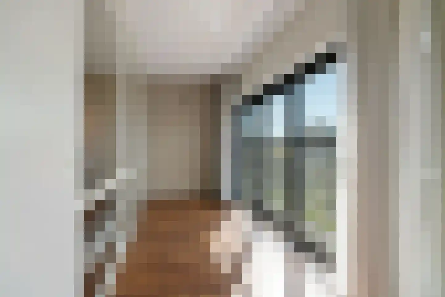 J.L. van Rijweg 140 Zoetermeer thumbnail 20
