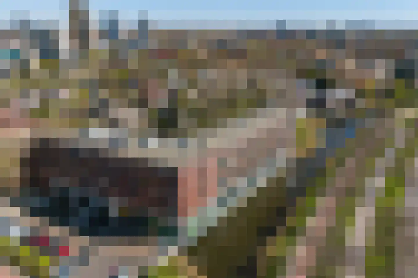 J.L. van Rijweg 140 Zoetermeer thumbnail 5