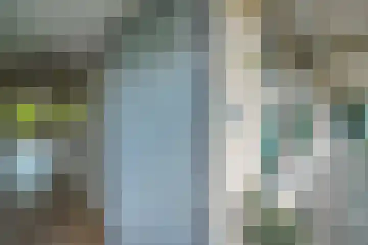 J.L. van Rijweg 84 Zoetermeer thumbnail 13