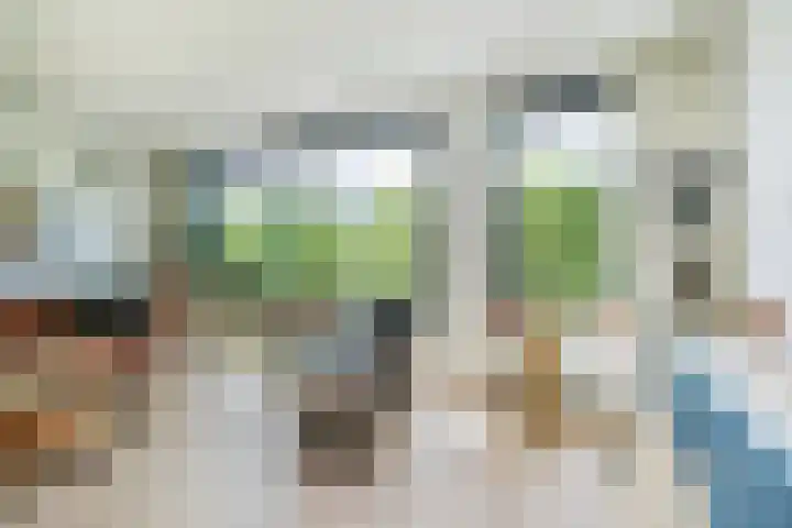 J.L. van Rijweg 84 Zoetermeer thumbnail 18