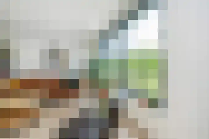 J.L. van Rijweg 84 Zoetermeer thumbnail 19