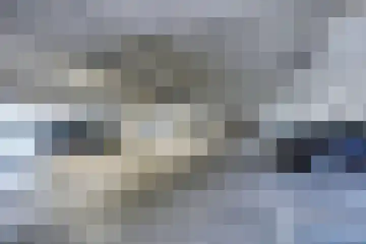 J.L. van Rijweg 84 Zoetermeer thumbnail 38