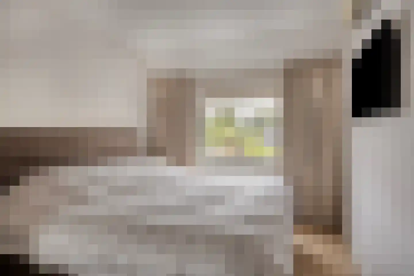 J.M. de Bruijnstraat 95 Goor thumbnail 17