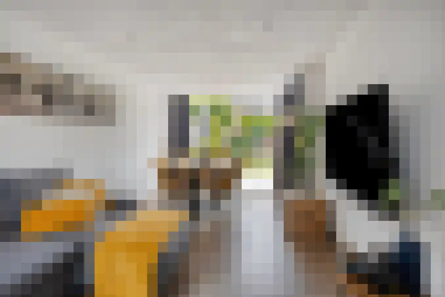 J.M. de Bruijnstraat 95 Goor thumbnail 30