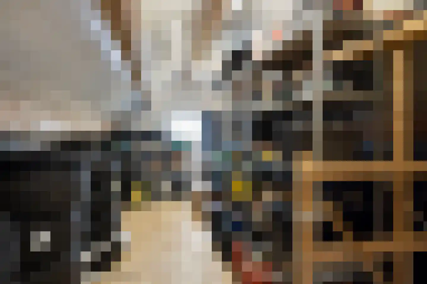 J.M. de Bruijnstraat 95 Goor thumbnail 33