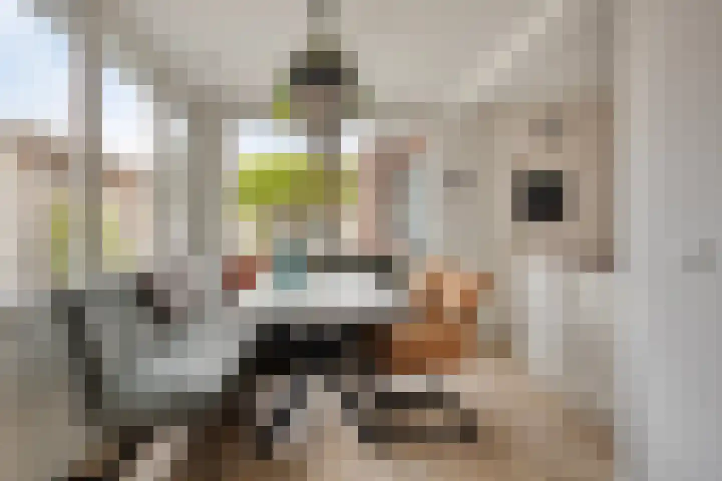 J.M. de Bruijnstraat 95 Goor thumbnail 9