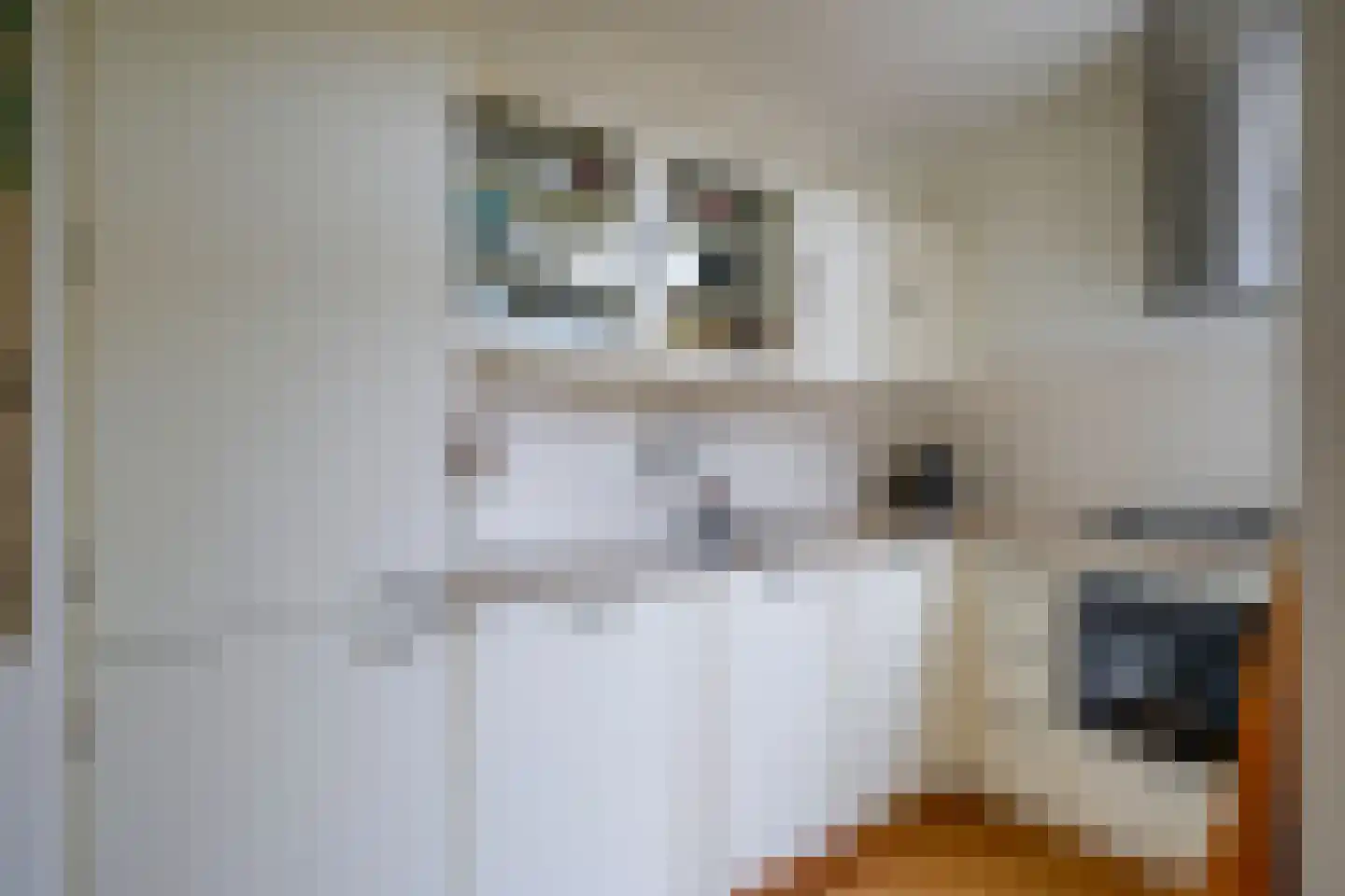 J.M. de Muinck Keizerlaan 12 Utrecht thumbnail 18