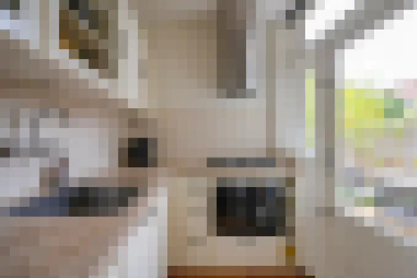 J.M. de Muinck Keizerlaan 12 Utrecht thumbnail 19
