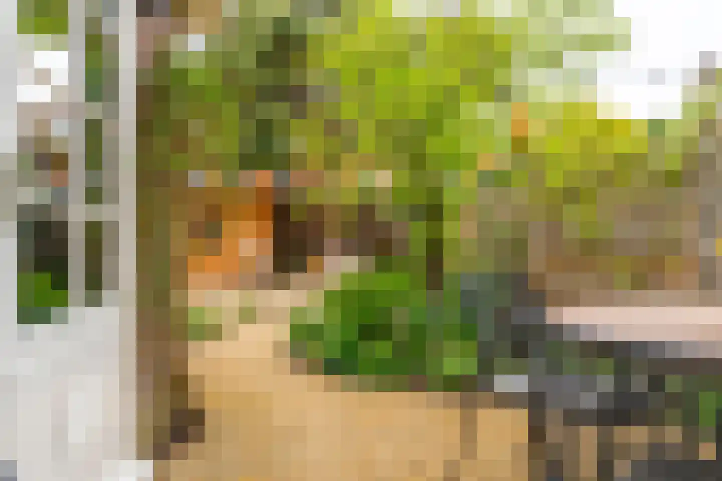 J.M. de Muinck Keizerlaan 12 Utrecht thumbnail 55