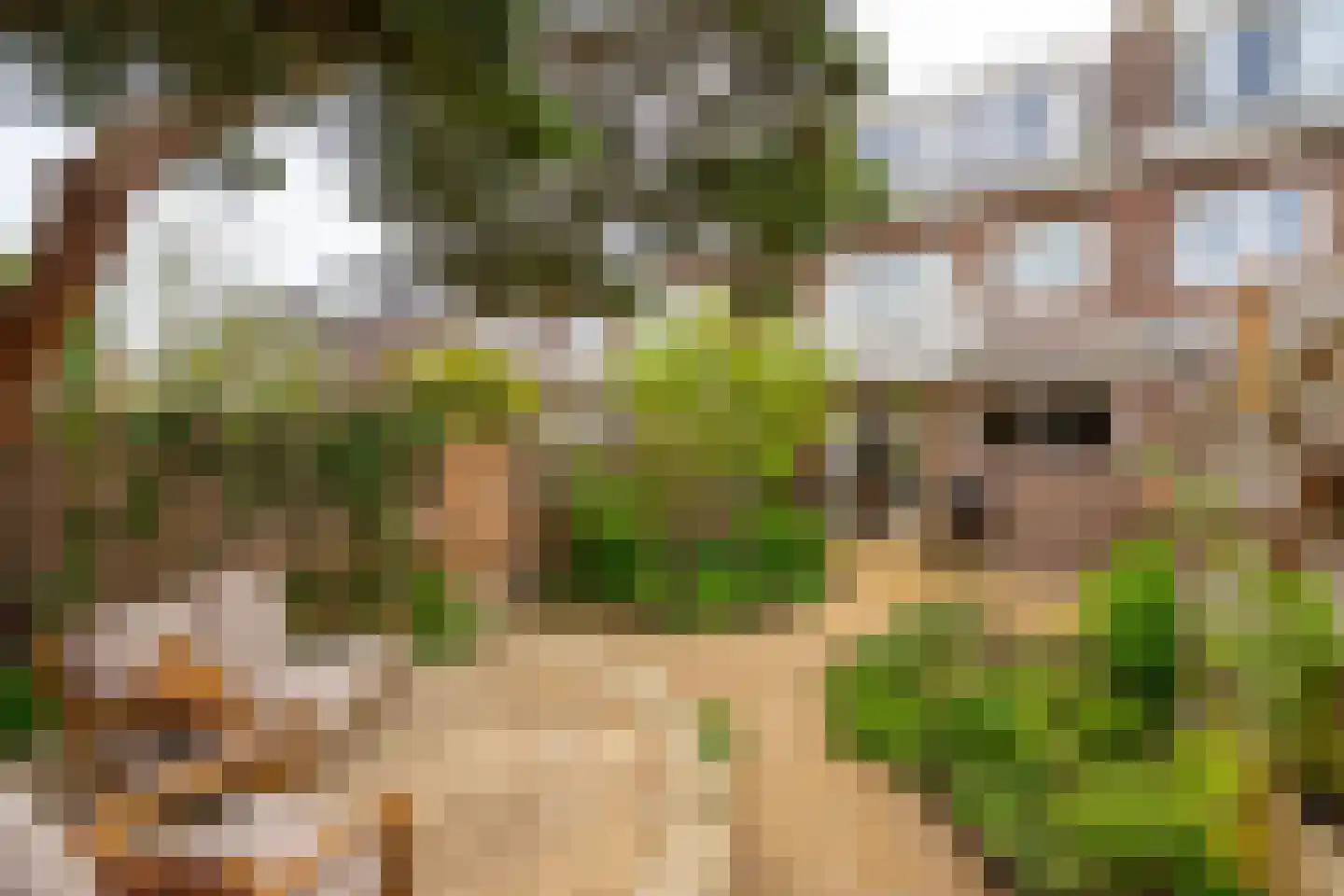 J.M. de Muinck Keizerlaan 12 Utrecht thumbnail 60