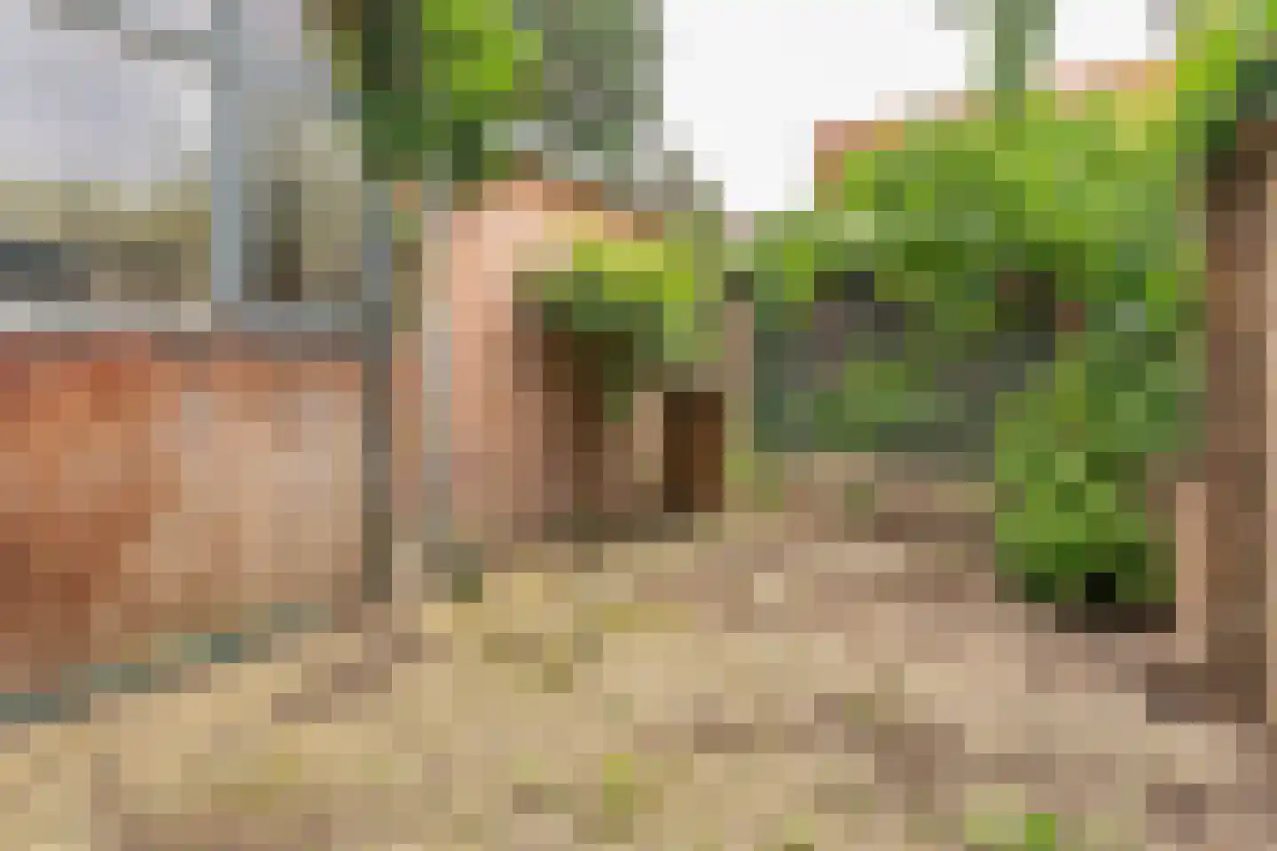 J.M. de Muinck Keizerlaan 24 Utrecht thumbnail 20