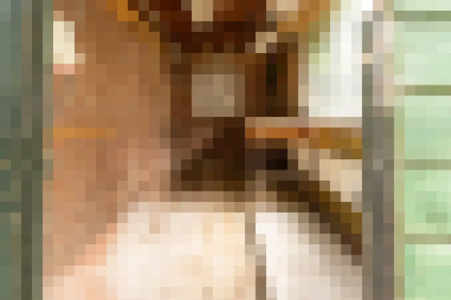 J.M. de Muinck Keizerlaan 24 Utrecht thumbnail 23