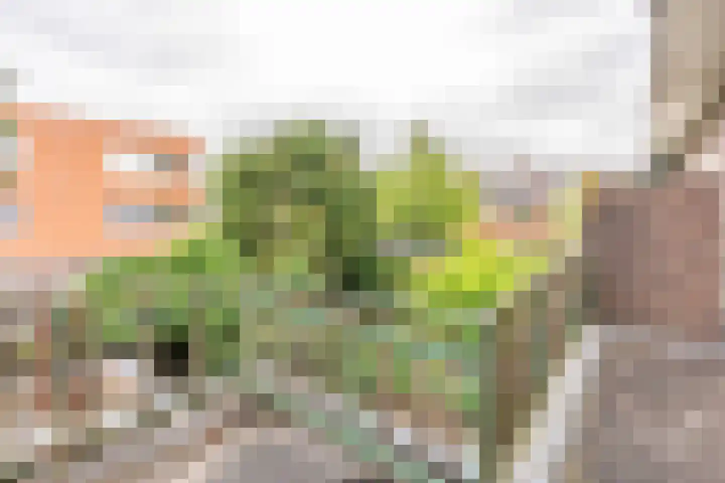 J.M. de Muinck Keizerlaan 24 Utrecht thumbnail 32