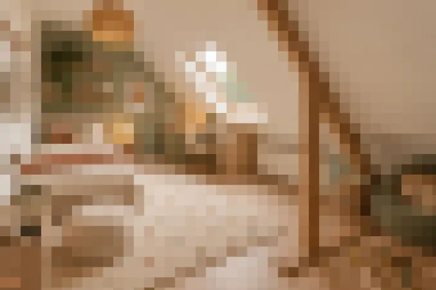 J.M. de Muinck Keizerlaan 24 Utrecht thumbnail 43