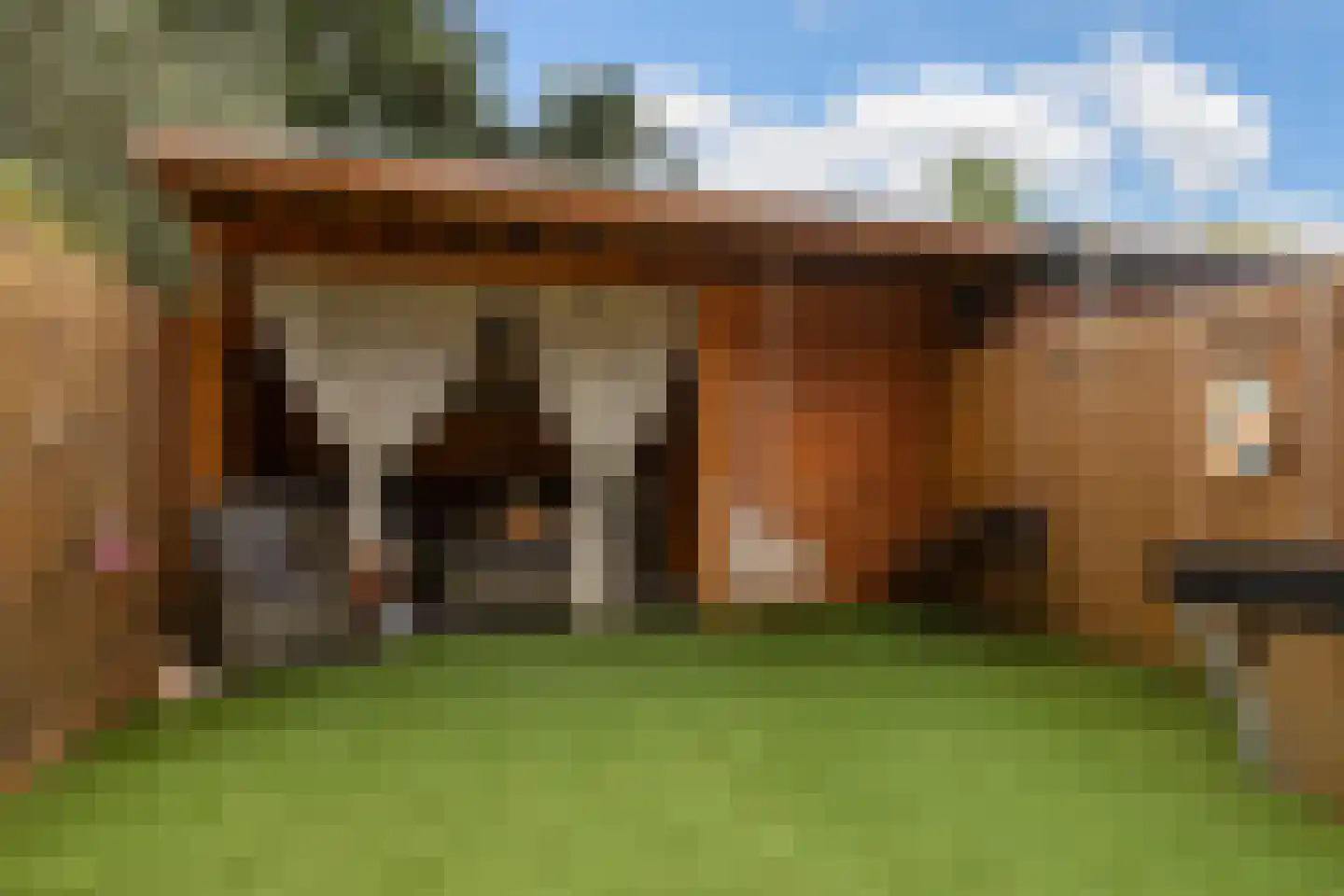 J.M. de Muinck Keizerlaan 31 Utrecht thumbnail 19