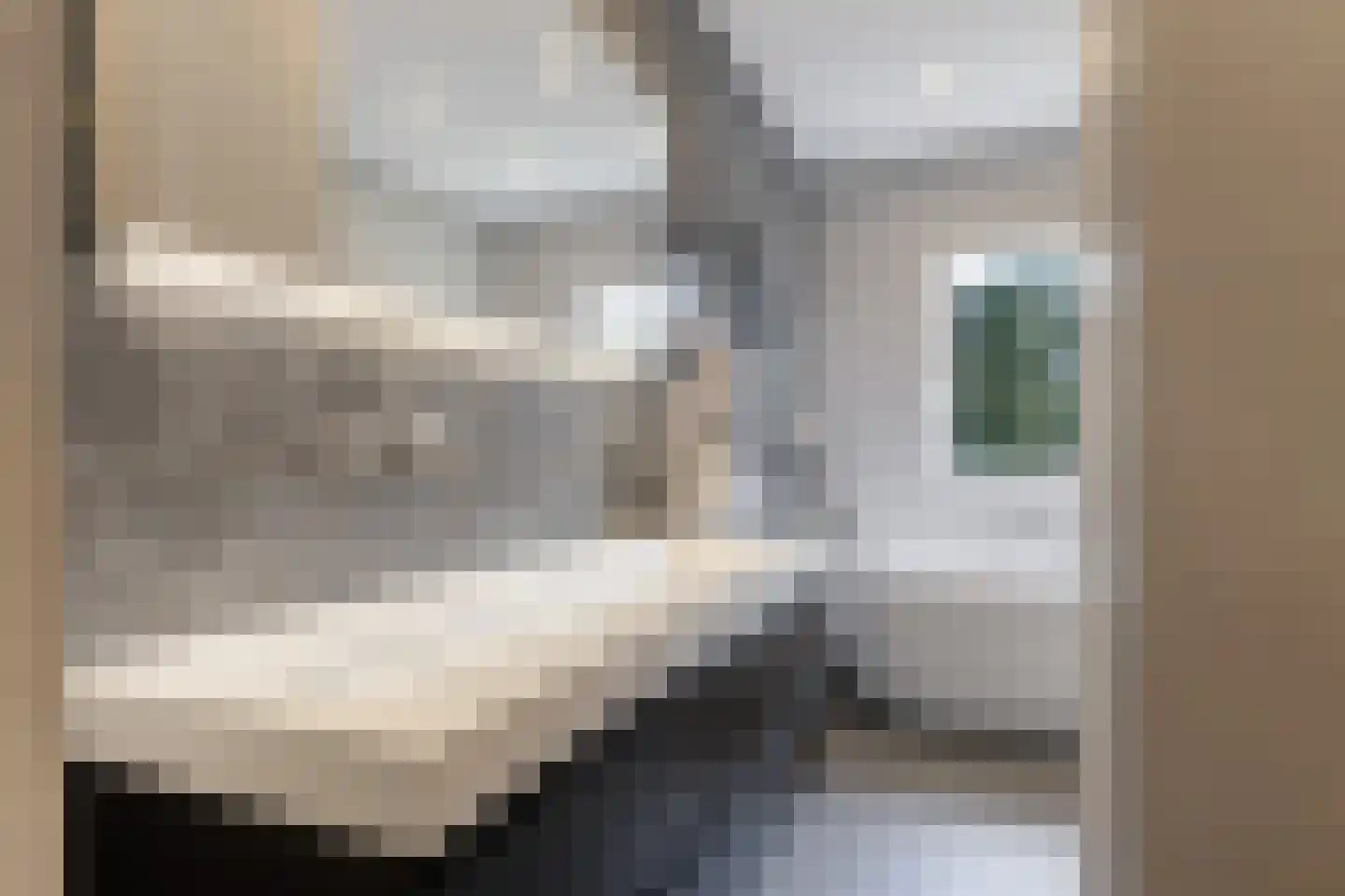J.M. de Muinck Keizerlaan 31 Utrecht thumbnail 33