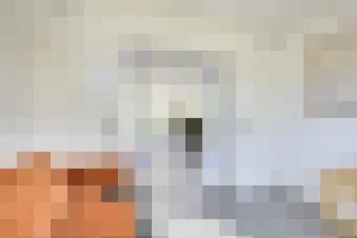 J.M. de Muinck Keizerlaan 43 Utrecht thumbnail 21