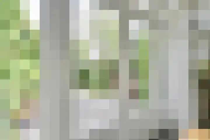 J.M. de Muinck Keizerlaan 43 Utrecht thumbnail 23
