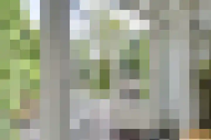 J.M. de Muinck Keizerlaan 43 Utrecht thumbnail 24