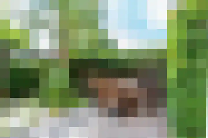J.M. de Muinck Keizerlaan 43 Utrecht thumbnail 27