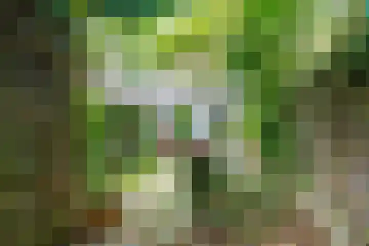 J.M. de Muinck Keizerlaan 43 Utrecht thumbnail 31