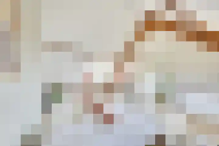J.M. de Muinck Keizerlaan 43 Utrecht thumbnail 55