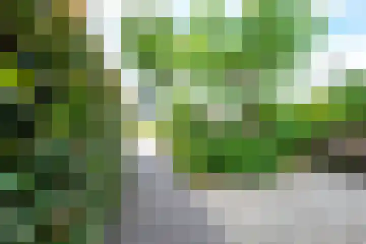 J.M. de Muinck Keizerlaan 43 Utrecht thumbnail 57