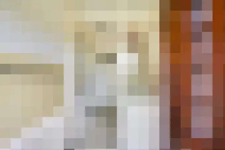 J.M. de Muinck Keizerlaan 43 Utrecht thumbnail 7