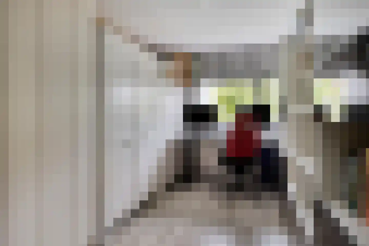 J.M. den Uyllaan 11 Winterswijk thumbnail 27