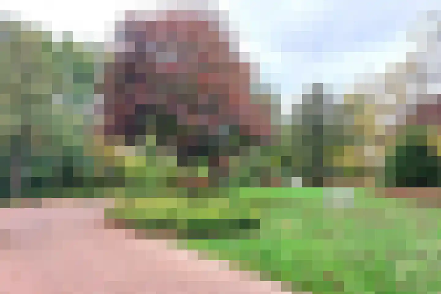J.M. den Uyllaan 11 Winterswijk thumbnail 44