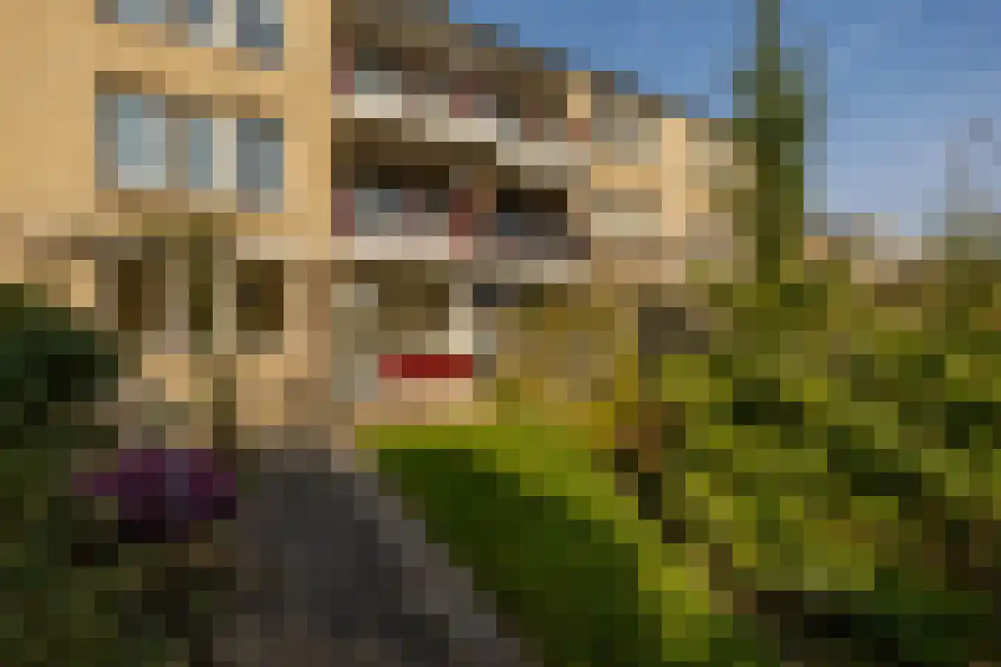 J.M. den Uylstraat 25 Groningen thumbnail 26
