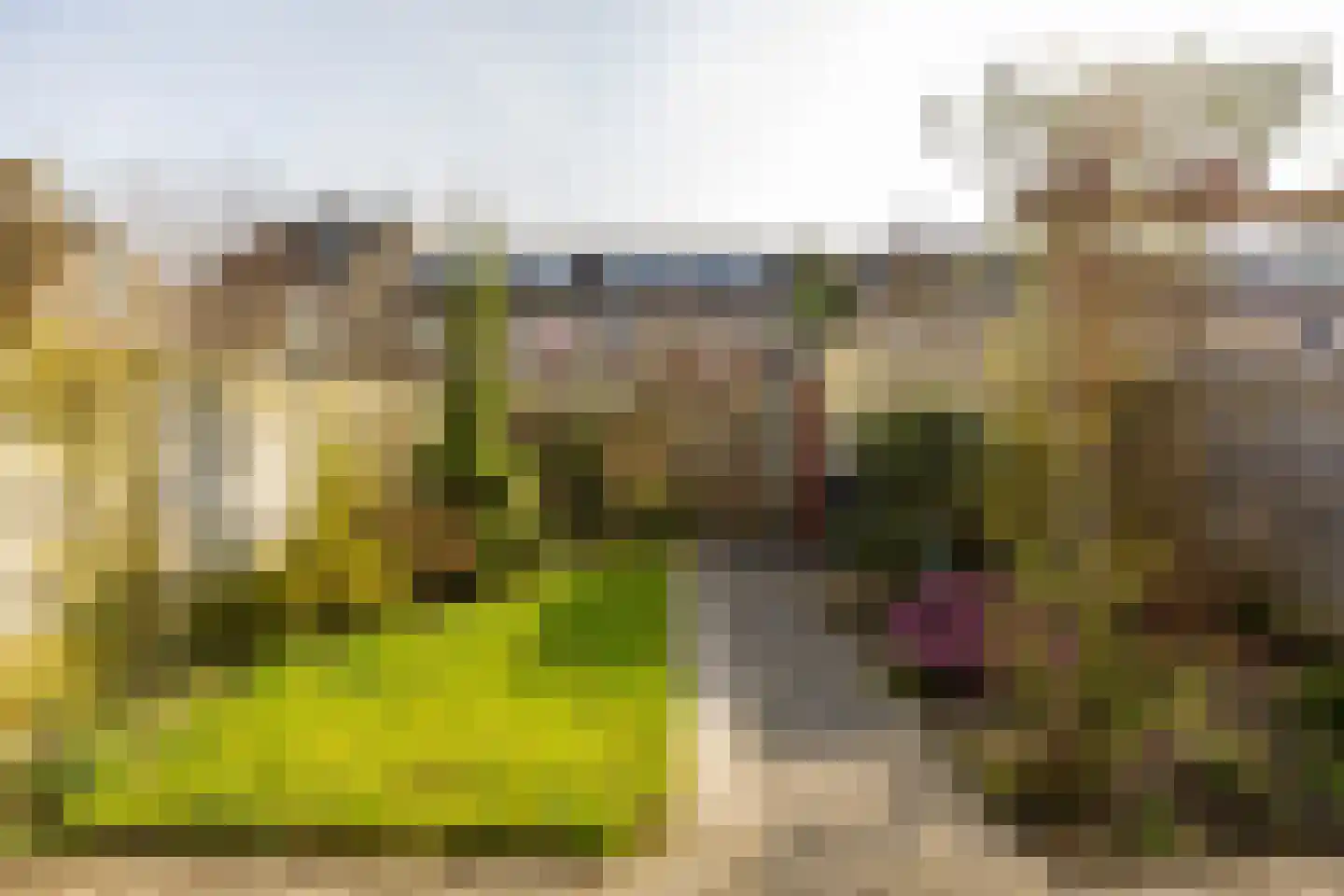 J.M. den Uylstraat 25 Groningen thumbnail 5