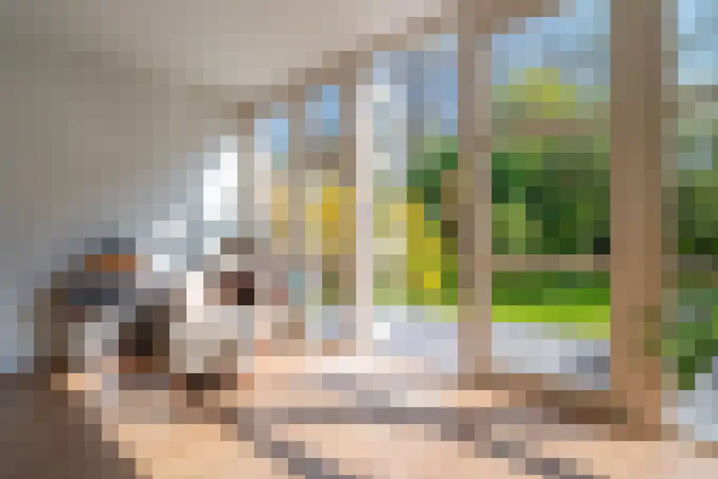 J.M. den Uylstraat 310 Groningen thumbnail 23