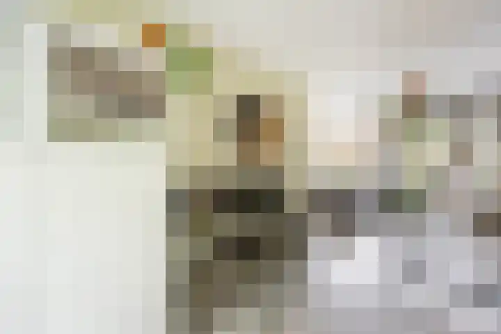 J.M. den Uylstraat 4 Groningen thumbnail 13