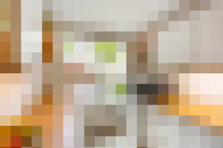 J.M. den Uylstraat 4 Groningen thumbnail 17