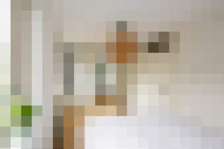 J.M. den Uylstraat 4 Groningen thumbnail 21
